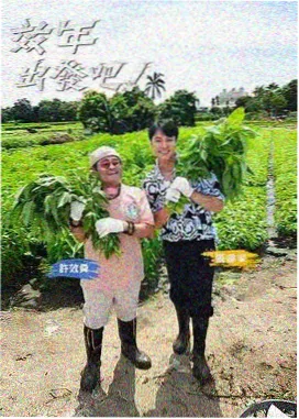 向往的生活 慢综艺